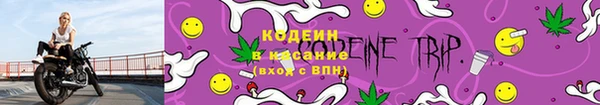 стаф Надым