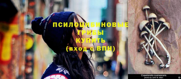 2c-b Навашино