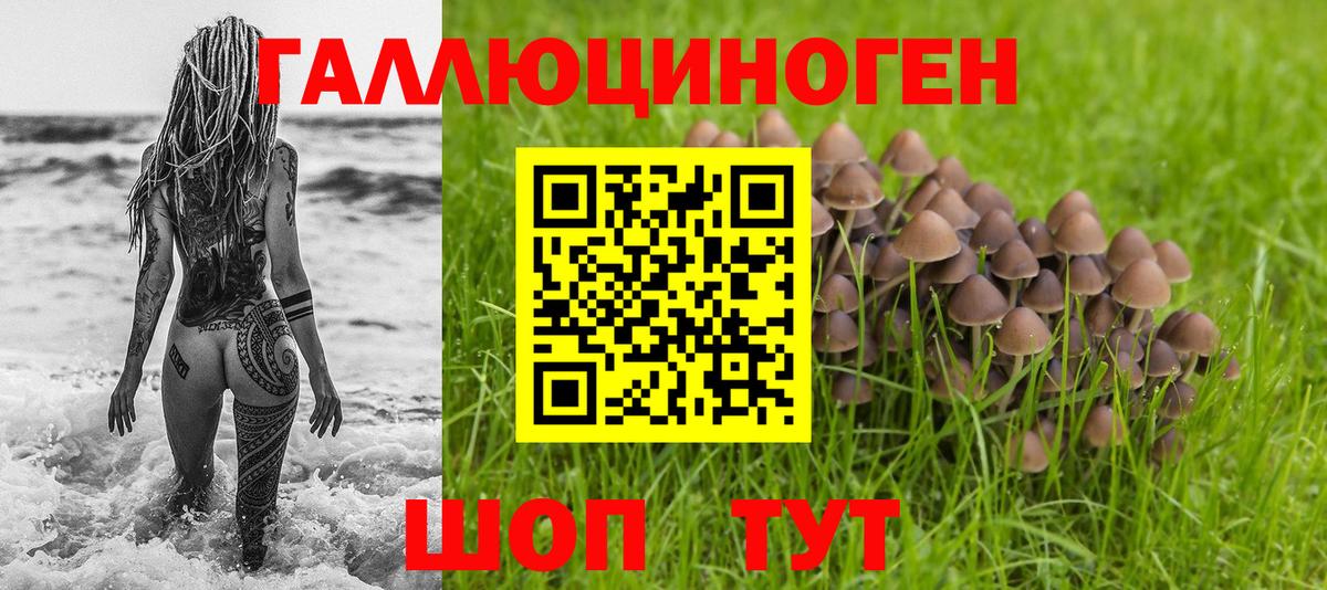 ГЕРОИН Куйбышев