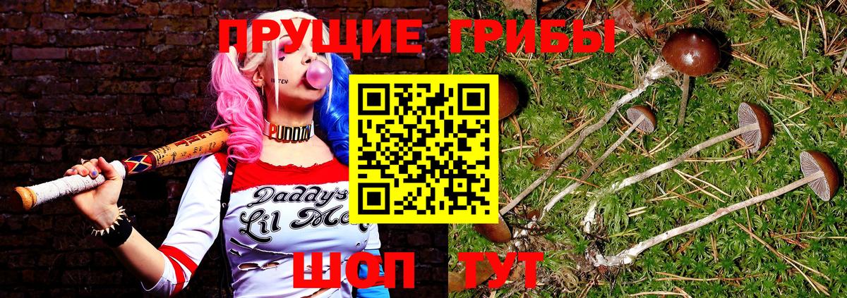 Галлюциногенные грибы ЛСД  Галлюциногенные грибы Cubensis  Куйбышев 