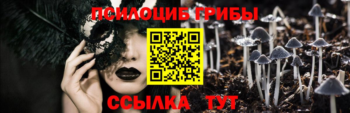 Псилоцибиновые грибы прущие грибы Куйбышев